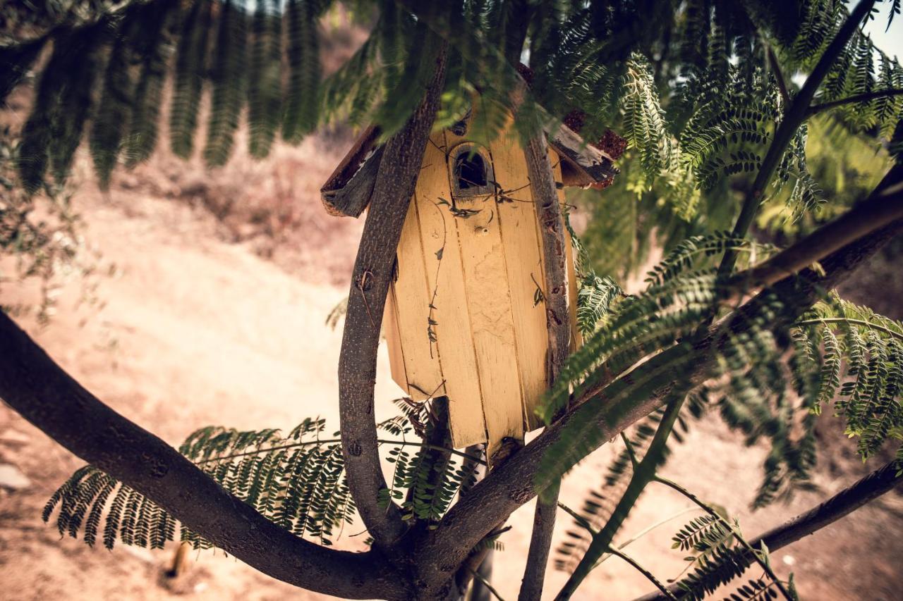 Posada San Antonio Valle de Guadalupe Ngoại thất bức ảnh