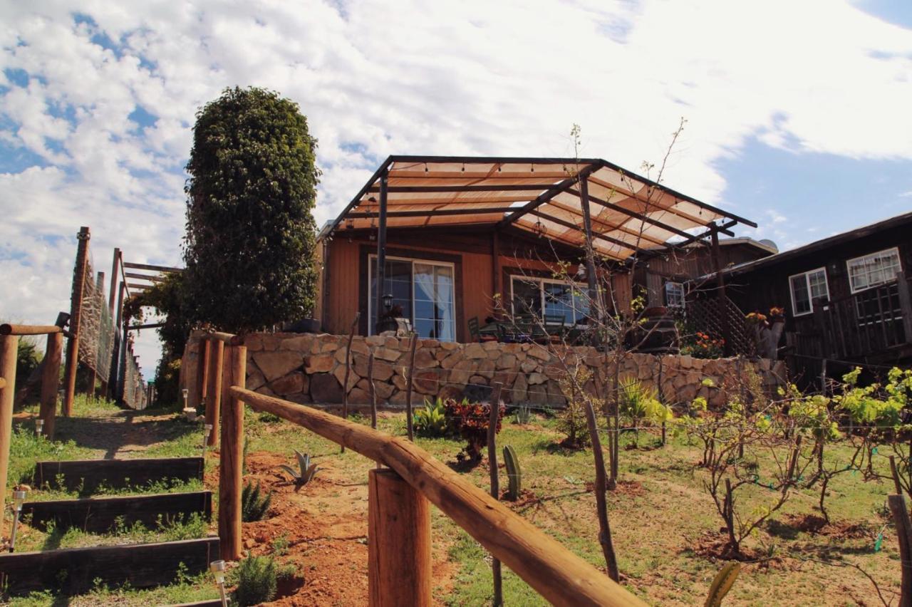Posada San Antonio Valle de Guadalupe Ngoại thất bức ảnh