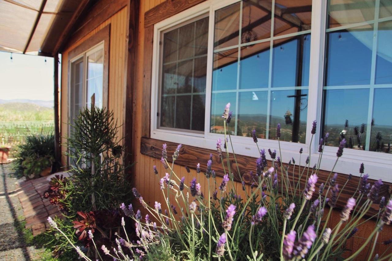 Posada San Antonio Valle de Guadalupe Ngoại thất bức ảnh