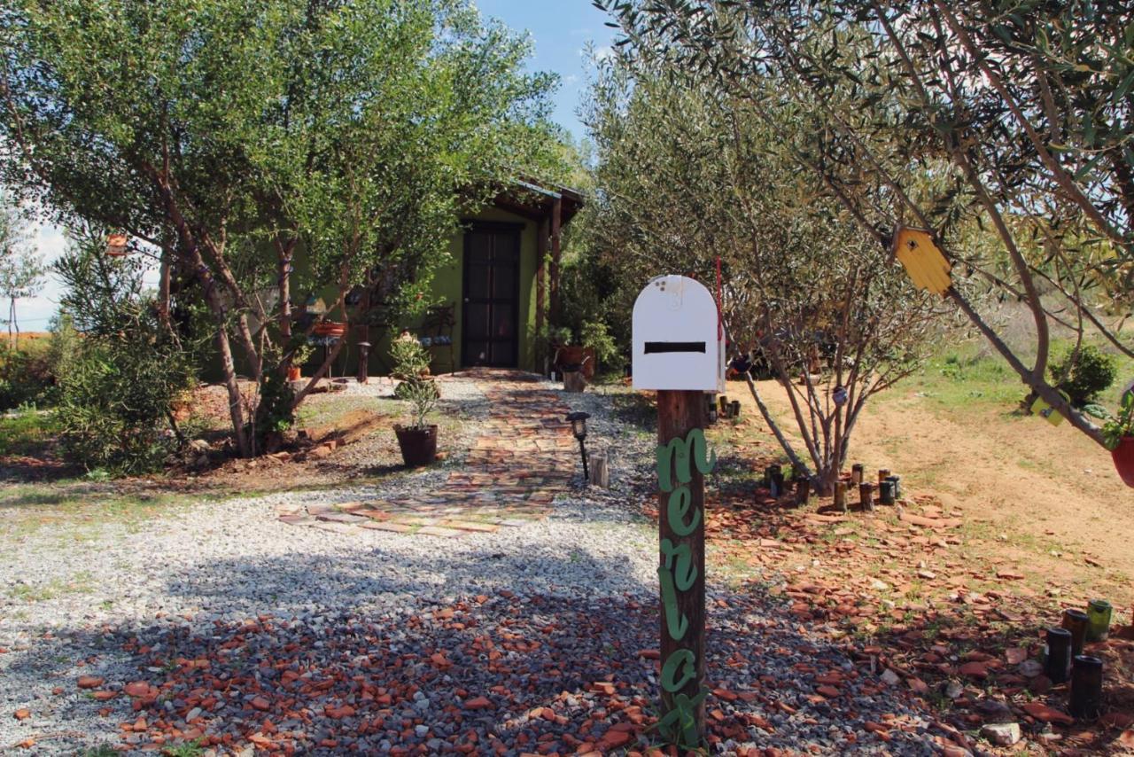 Posada San Antonio Valle de Guadalupe Ngoại thất bức ảnh