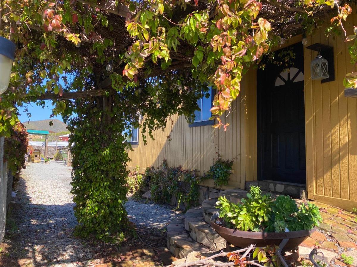 Posada San Antonio Valle de Guadalupe Ngoại thất bức ảnh