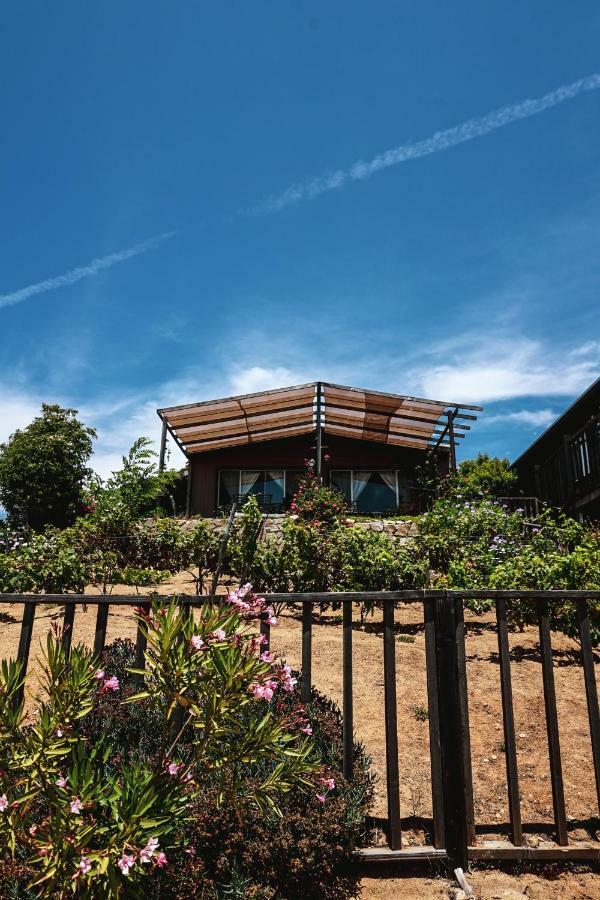 Posada San Antonio Valle de Guadalupe Ngoại thất bức ảnh