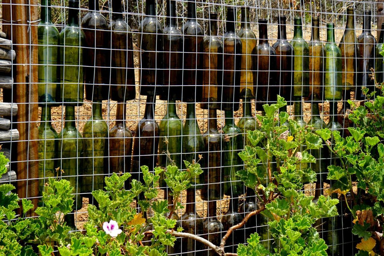 Posada San Antonio Valle de Guadalupe Ngoại thất bức ảnh