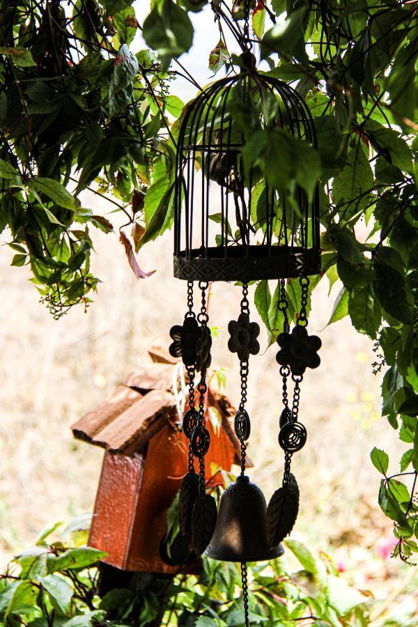 Posada San Antonio Valle de Guadalupe Ngoại thất bức ảnh